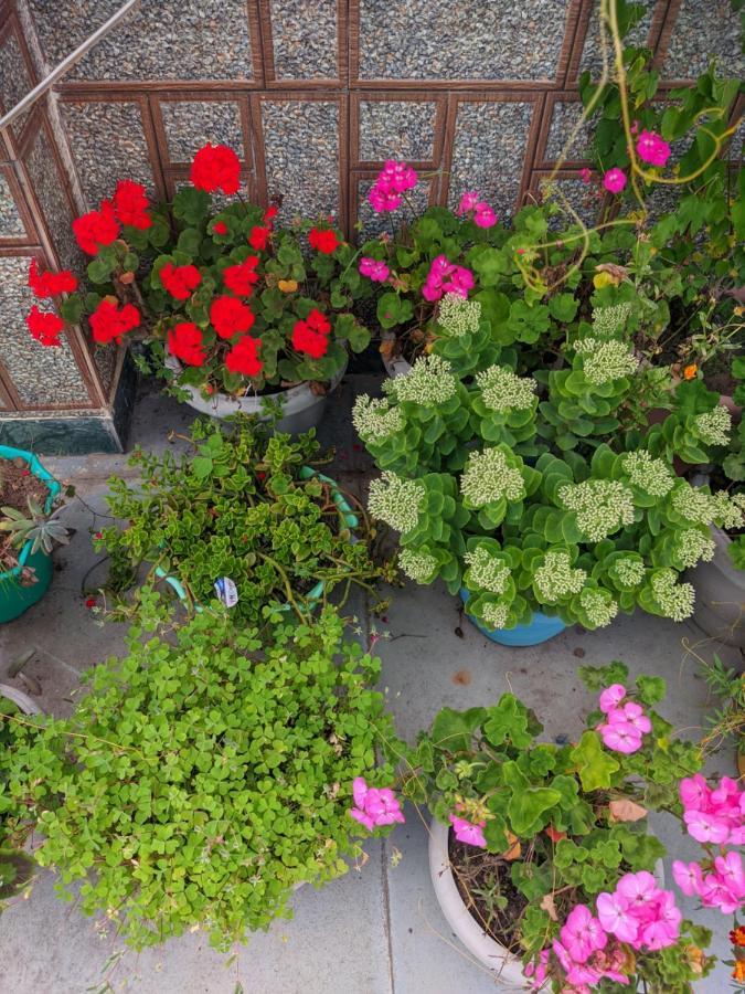Summer Cottages Manāli エクステリア 写真